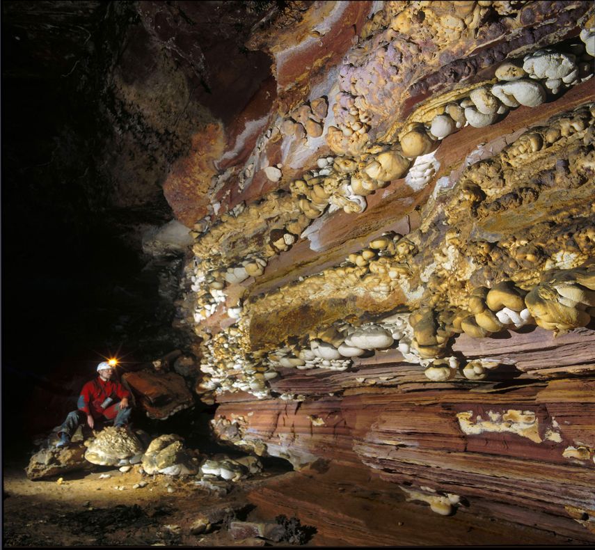Los Bioespeleotemas, un extraño organismo, mitad mineral y mitad vegetal, encontrado por Brewer en una caverna de roca cuarcita, a 2.100 metros de altitud. 