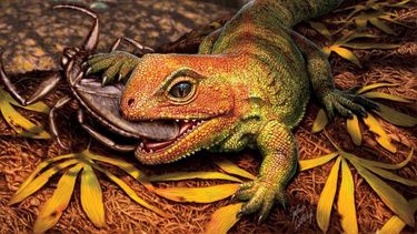 Descubren un reptil prehistórico extinto que vivió entre dinosaurios