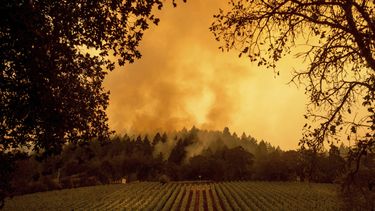 En imagen de archivo del 28 de septiembre de 2020, humo se eleva sobre un viñedo a causa del Incendio Glass en Calistoga, California.&nbsp;