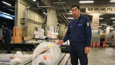 El vendedor de pescado Shibata San enseña a los turistas el antiguo distrito del mercado de pescado Chuo.