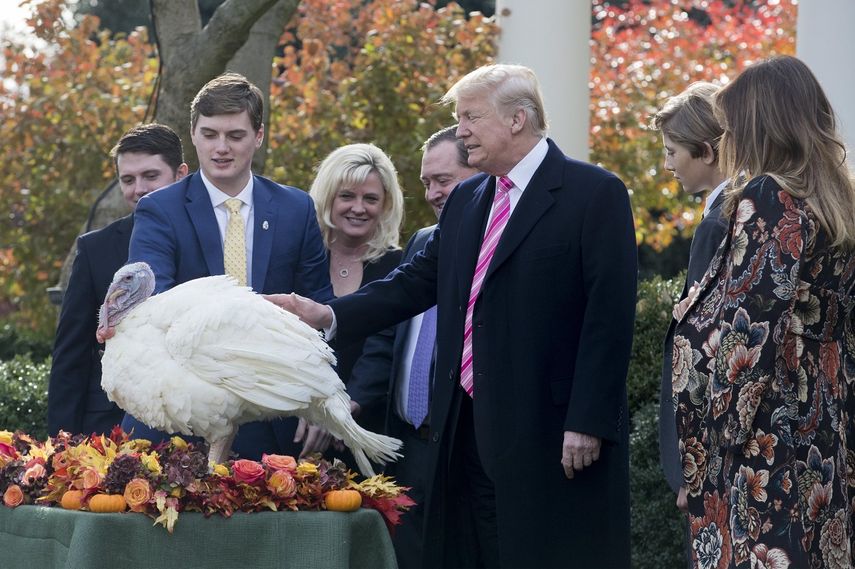 El presidente Trump&nbsp;(2-d), indultada al pavo de nombre Drumstick junto a la primera dama, Melania&nbsp;Trump(d), y miembros de la familia Wittenburg, durante la 70 ceremonia de presentación del pavo de Acción de Gracias, en la Casa Blanca en Washington, EEUU, el 21 de noviembre de 2017.&nbsp;