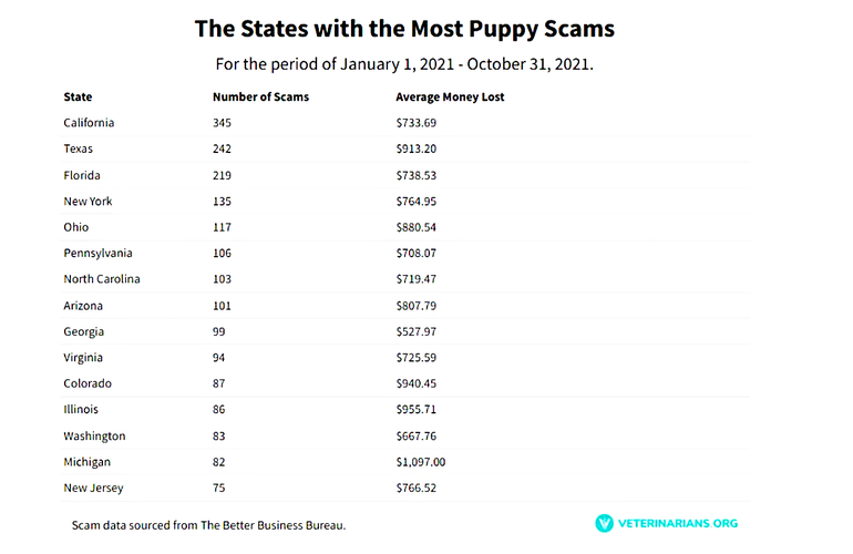Tabla elaborada por Veterinarians.org con datos del Better Business Bureau con los estados que más estafas de cachorros acumulan en EEUU entre el 1 de enero y el 31 de octubre de 2021. 