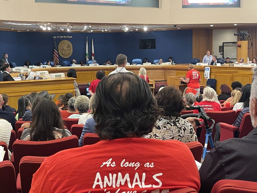 Activistas por los derechos de los animales participan en audiencia del presupuesto de Miami-Dade.