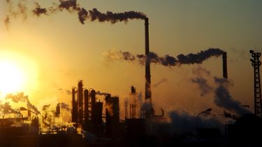 Debido al cambio climático, están aumentando las temperaturas y las concentraciones de dióxido de carbono.