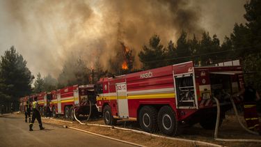 Bomberos de Eslovaquia intentan extinguir las llamas de un incendio forestal cerca de la aldea de Avgaria en la isla de Evia (Eubea), el 10 de agosto de 2021. Cerca de 900 bomberos, reforzados durante la noche con recién llegados del extranjero, se desplegaron en el segundo isla más grande como las principales ciudades y centros turísticos permanecieron amenazados por un incendio que ha estado ardiendo durante ocho días. &nbsp;