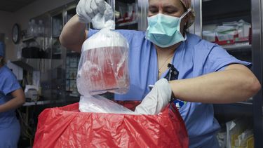 Melissa Mattola-Kiatos, RN, especialista en prácticas de enfermería, saca el riñón de cerdo de su caja para prepararlo para el trasplante en el Hospital General de Massachusetts, el 16 de marzo de 2024, en Boston.&nbsp;