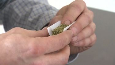 La marihuana es una de las drogas más populares a nivel mundial. 