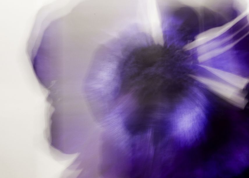 Fotografía de Margarita Boulton que conforma la exposición Mourning Flowers.