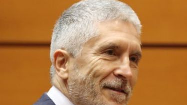 Ministro español del Interior, Fernando Grande-Marlaska (Redes Sociales)