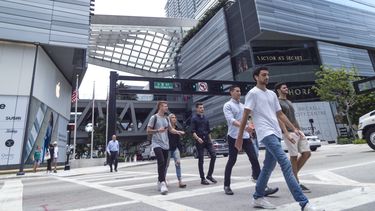 Entre los índices demográficos de Miami destaca que cerca de la mitad de la población cuenta con edades entre 25 y 44 años.