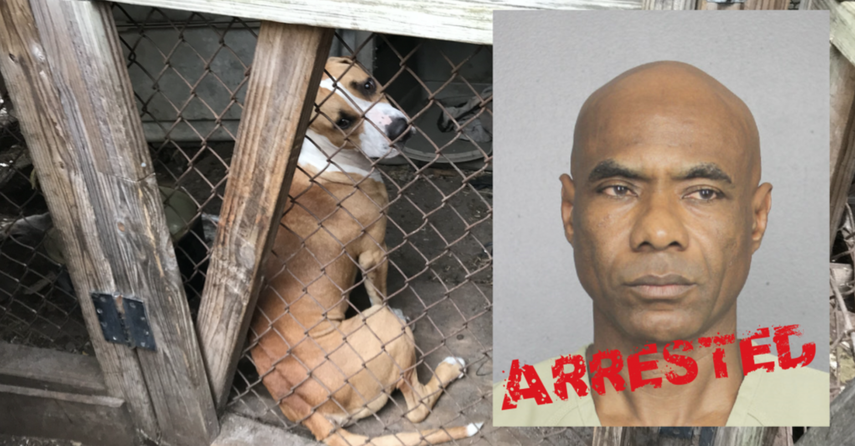 Kalito Jones fue arrestado por el Departamento de Policía de Sunrise y acusado de 17 cargos de felonía por crueldad hacia los animales y 7 cargos de delito menor de confinamiento de animales sin suficiente comida y agua.