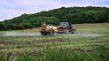 Tractor realiza riego de fertilizantes en campos de siembra.