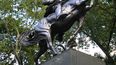 La obra original, la última gran estatua ecuestre concebida por la escultora Anna Hyatt (1876-1973) a los 82 años, está ubicada en una plazuela en el área sur de Central Park.