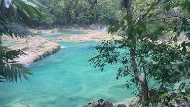 Las cristalinas aguas de las pozas naturales de Semuc Champey se alimentan del río Cahabón, que baña la región de Alta Verapaz.
