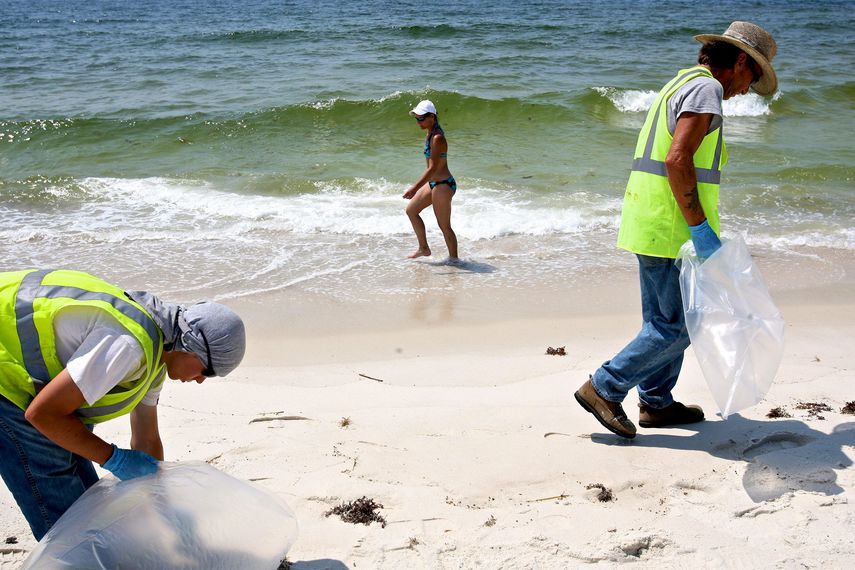 Un grupo de voluntarios recoge basura en una de las playas de la Florida.