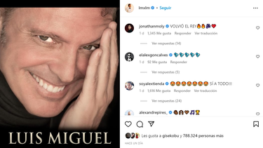 El cantante Luis Miguel.