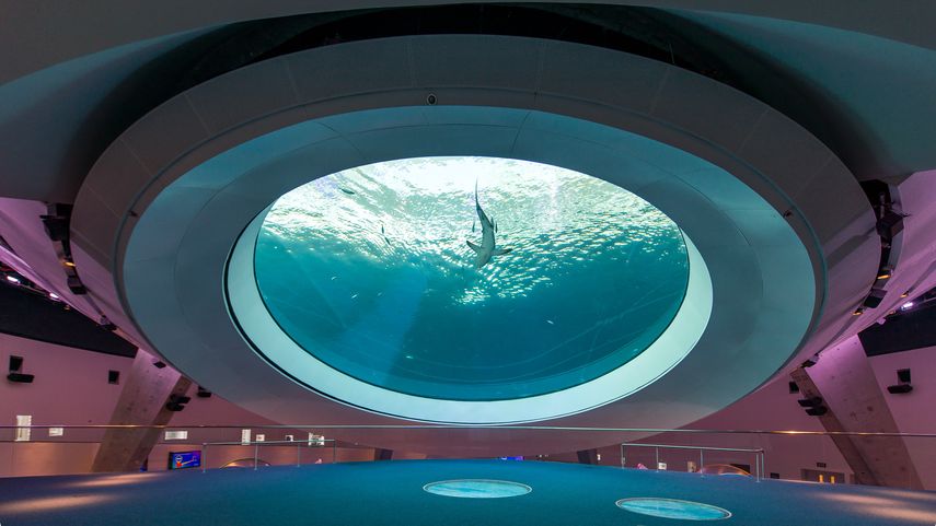 El espacio dedicado a los oc&eacute;anos en el&nbsp;Museo de Ciencias Phillip y Patricia&nbsp;Frost,&nbsp;en Miami.&nbsp;