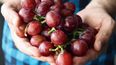 Las uvas rojas no deben faltar en sus fiestas de Navidad, dicen especialistas