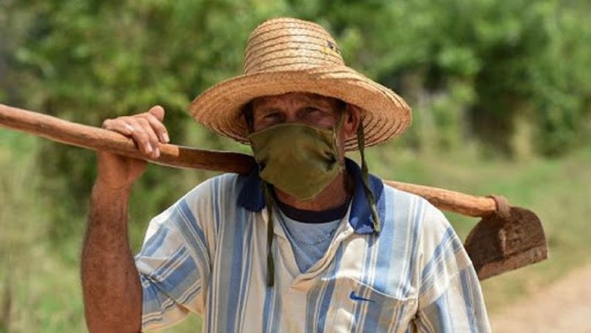Multas exorbitantes a campesinos en Cuba