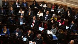 El Senado de Argentina discute un paquete de leyes que es clave para las reformas que quiere aplicar el gobierno de Javier Milei.