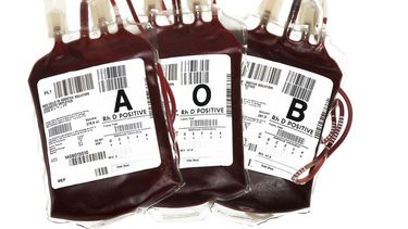 Las características de la sangre son hereditarias y esenciales para diferenciar individuos y etnias. (Archivo)