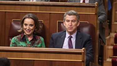 La secretaria general del Partido Popular, Cuca Gamarra, y el presidente del partido, Allberto Núñez Feijóo, durante un pleno en el Congreso