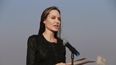 Angelina Jolie perdi&oacute; a su mam&aacute; cuando ten&iacute;a 31 a&ntilde;os de edad. Desde una carta, la actriz describi&oacute; su experiencia.&nbsp;