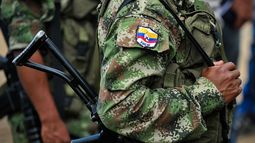 El Gobierno y las FARC firmaron el pasado 24 de noviembre en Bogotá un acuerdo de paz para finalizar más de medio siglo de conflicto armado interno.