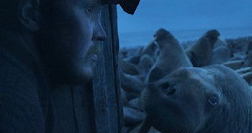 En esta captura de pantalla sin fecha proporcionada por The New Yorker el 6 de marzo de 2023, el biólogo marino Maxim Chakilev mira desde su cabaña siberiana a las morsas en el documental corto nominado al Óscar Haulout. Los documentales cortos llenan los Premios de la Academia.