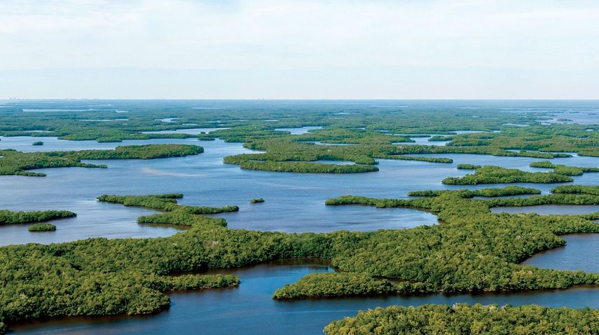 Vista aérea del Parque Nacional Everglades, en el sur de Florida, un humedal salvaje de 1,5 millones de acres.