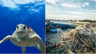 Imagen referencial.&nbsp;