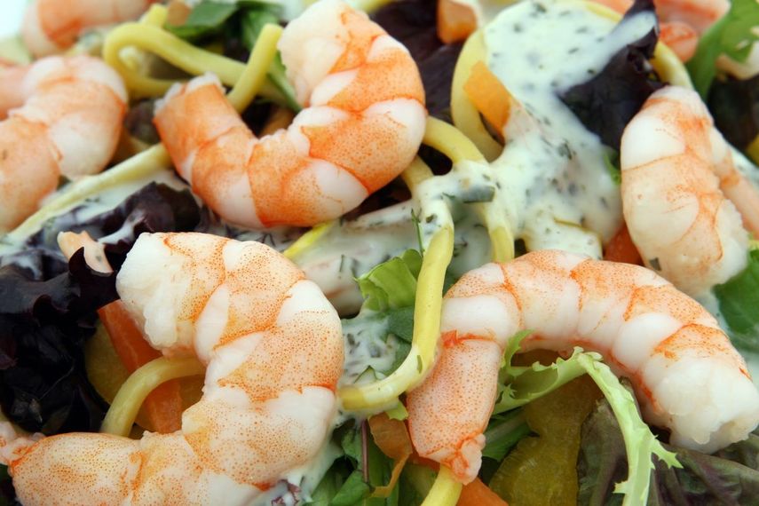 Imagen de un plato con camarones en salsa blanca