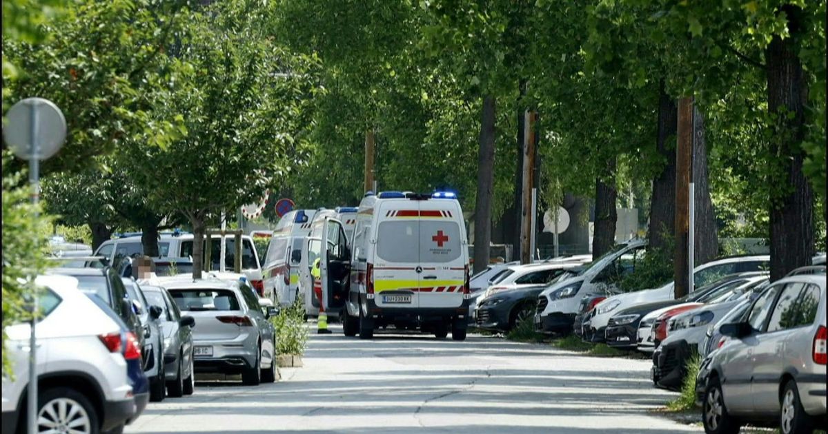 Austria: Al menos 10 muertos en tiroteo en un colegio