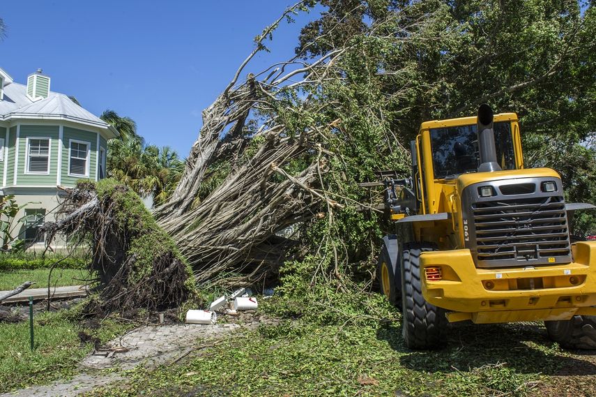Un gran árbol se cayó sobre una vivienda en Naples.&nbsp;