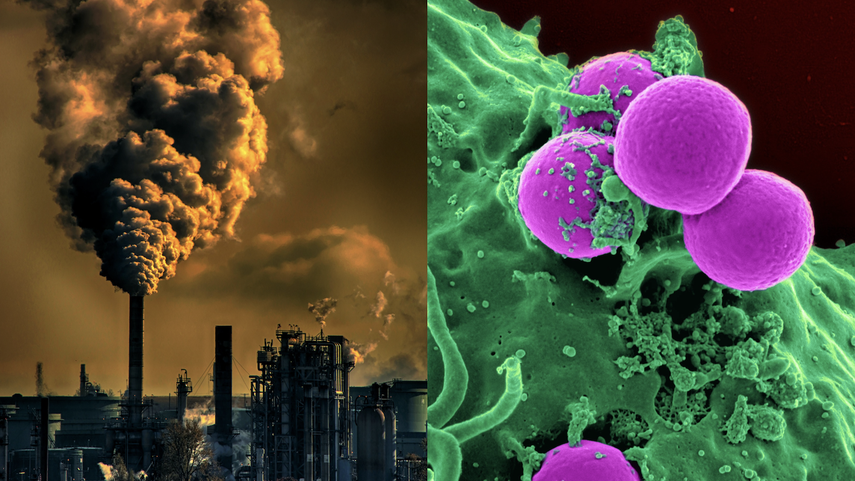 Imagen referencial.&nbsp;