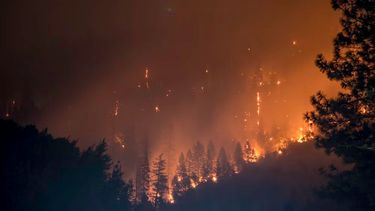 Un incendio forestal a causa del cambio climático 