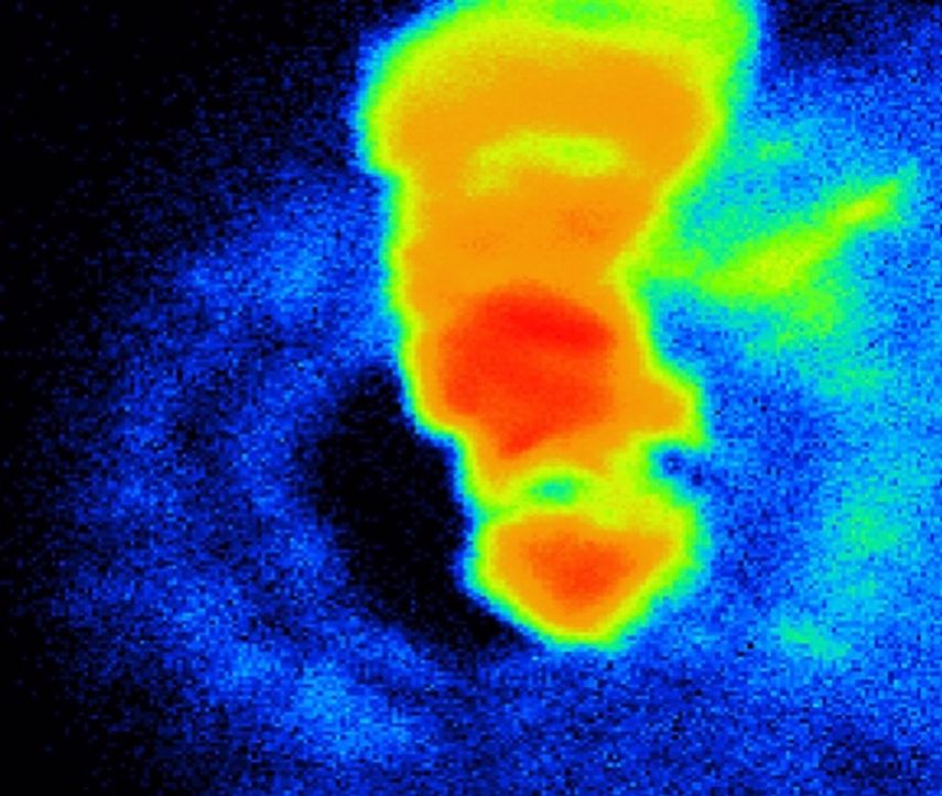 Hierro triturado bajo el microscopio.&nbsp;