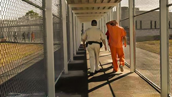 El número de cubanos deportados hacia la isla ha aumentado de manera considerable durante la administración del presidente Donald Trump.