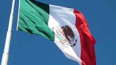 Bandera de México.&nbsp;