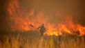 Un bombero combate un incendio forestal en la Sierra de la Culebra, en Zamora, España, el sábado 18 de junio de 2022.