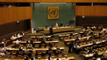 Organización de Naciones Unidas