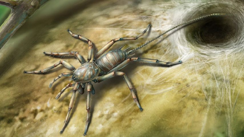 Fotografía cedida por la Universidad de Kansas que muestra un dibujo ilustrativo del Chimerarachne yingi, nombre que recibió un nuevo insecto, descubierto en ámbar de Myanmar, Birmania.
