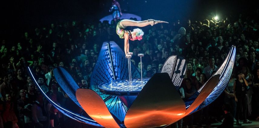 El responsable de Cirque du Soleil aseguró que la productora es conocida por su capacidad de desarrollar en profundidad contenido de calidad.