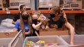 La presentadora de Corazones Guerreros, Natalia Denegri, trabajó en conjunto con Hasbro Toys, Global Empowerment Mission y Little Lighthouse Foundation, para preparar donaciones que se repartirán a centros comunitarios de asistencia a niños del sur de la Florida. La presentadora de Corazones Guerreros, Natalia Denegri, trabajó en conjunto con Hasbro Toys, Global Empowerment Mission y Little Lighthouse Foundation, para preparar donaciones que se repartirán a centros comunitarios de asistencia a niños del sur de la Florida.