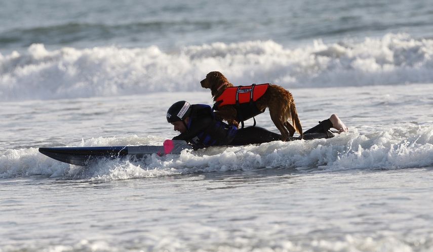 Patrick Ivison, de 15 años, y Ricochet, una Golden Retriever, surfean frente a la costa de San Diego.&nbsp;