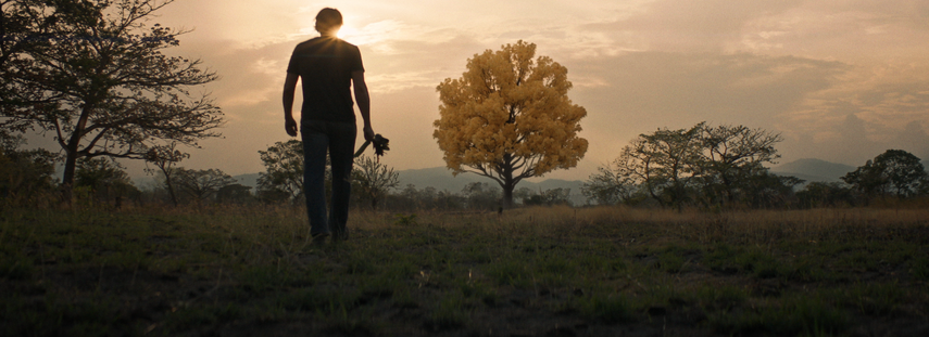 Imagen de la película La sombra del sol, del director venezolano Miguel Ángel Ferrer.