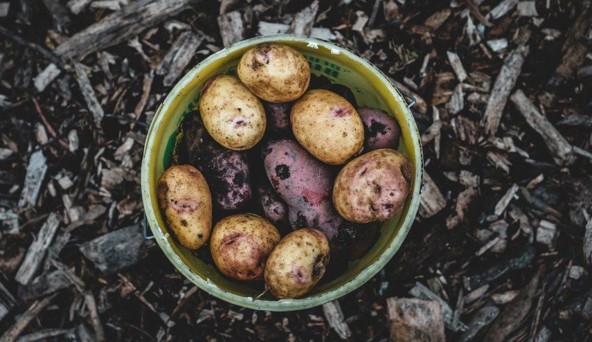 Imagen referencial.&nbsp;