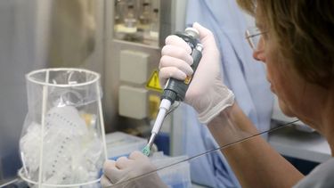 Una investigadora en el Departamento de Biolog&iacute;a Molecular en el Instituto de Microbiolog&iacute;a, Virolog&iacute;a e Higine M&eacute;dica en el University Medical Centre de Alemania examina una muestra en los esfuerzos contra el nuevo coronavirus.