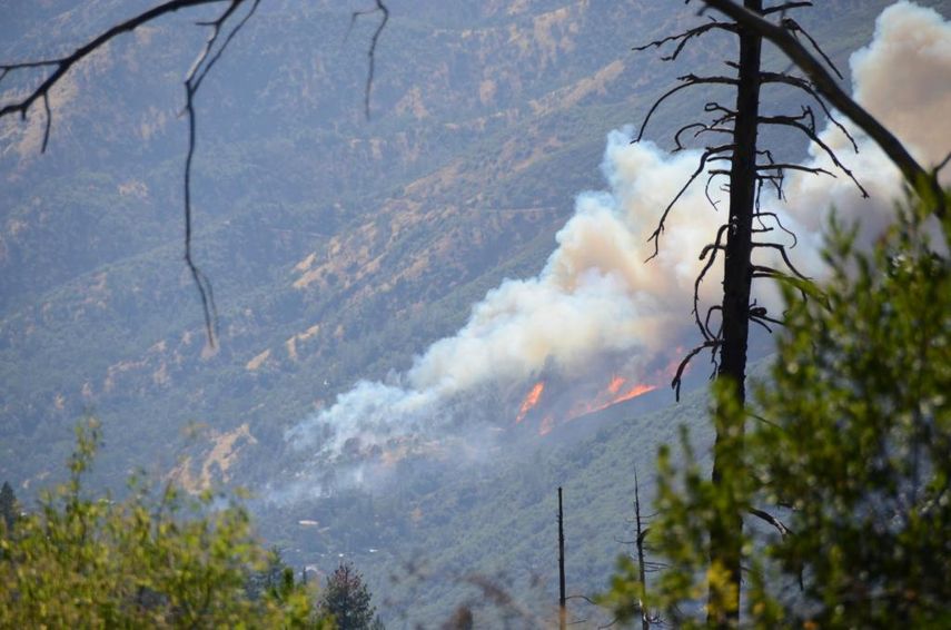 585 Bomberos del Departamento Forestal y de Incendios de California luchan contra el fuego que afecta a una zona de bosque y matorrales extremadamente seca ( Foto: @austenhufford)