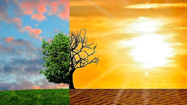 Uno de los efectos del cambio climático es la escasez de agua.&nbsp;